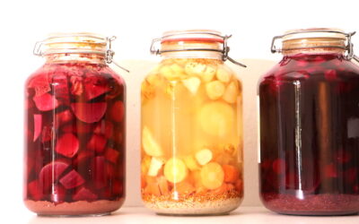 Fermented Juices According to Dr. Switzer