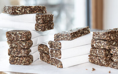 Raw Protein Bars