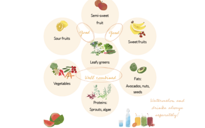 Optimal Food Combinations Critically Considered