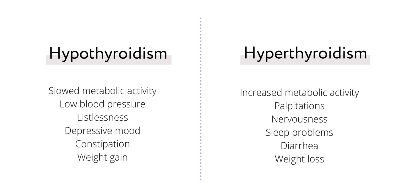 Holistic Treatment of Hashimoto's Thyroiditis I Your Nutrition