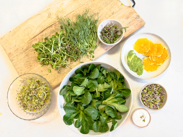 Sprouts-Microgreens Salad