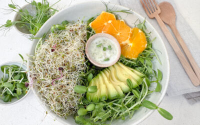 Sprouts and Microgreens Salad