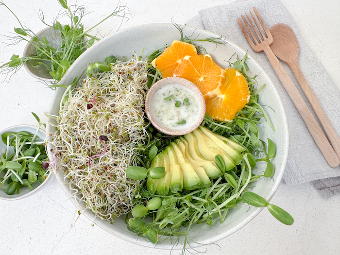 Sprouts and microgreens salad