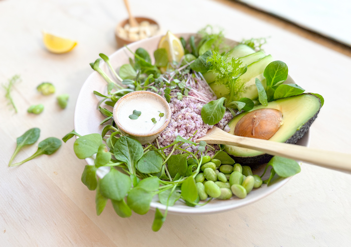 salad with vegetable rice