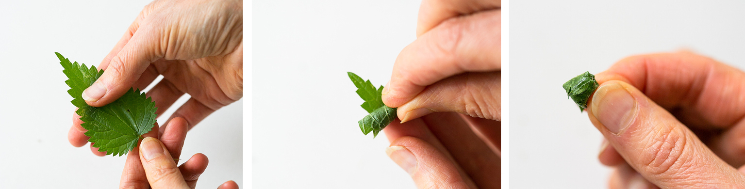 nettle candy